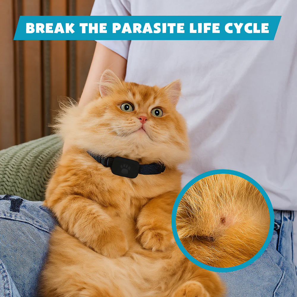 🎉 2025 Hot Sale 70% OFF ️⏳ PetCare™ TrackShield GPS Collar with Ultrasonic Flea & Tick Repellent